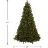 imageNational Tree Company Prelit Feel Real Artificial Giant Downswept Christmas Tree Green Douglas Fir Dual Color LED Lights 10 feet1ft 6in