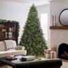 imageNational Tree Company Prelit Feel Real Artificial Giant Downswept Christmas Tree Green Douglas Fir Dual Color LED Lights 10 feet1ft 6in