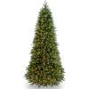 imageNational Tree  Feel Real lit Artificial Includes PreStrung White Lights and Stand  Jersey Fraser Fir Slim9 ft Christmas Tree 9FEET9ft