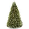 imageNational Tree Company PreLit Artificial Full Christmas Tree Green Dunhill Fir Clear Lights Includes PowerConnect and Stand 9 Feet