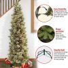 imageNational Tree Carolina Pine Tree 7 ft Green7ft