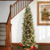 imageNational Tree Carolina Pine Tree 7 ft Green7ft