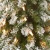 imageNational Tree Company PreLit Artificial Christmas Tree Snowy Downswept Green White Lights Includes Stand 4 Feet3ft