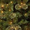 imageNational Tree Company PreLit Artificial Entrance Christmas Tree Atlanta Spruce Green White Lights Includes Metal Base 4 Feet4 Foot Entrance Tree with Clear Lights