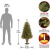 imageNational Tree Company PreLit Artificial Entrance Christmas Tree Atlanta Spruce Green White Lights Includes Metal Base 4 Feet4 Foot Entrance Tree with Clear Lights