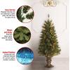 imageNational Tree Company PreLit Artificial Entrance Christmas Tree Atlanta Spruce Green White Lights Includes Metal Base 4 Feet4 Foot Entrance Tree with Clear Lights