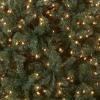 imageNational Tree Company PreLit Artificial Full Christmas Tree Blue North Valley Spruce White Lights Includes Stand 65 feet6ft 6in