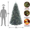 imageNational Tree Company PreLit Artificial Full Christmas Tree Blue North Valley Spruce White Lights Includes Stand 65 feet7ft 6in