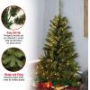 imageNational Tree Company PreLit Artificial Full Christmas Tree Green Canadian Fir Grande White Lights Includes Stand 4 Feet4ft