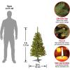 imageNational Tree Company PreLit Artificial Full Christmas Tree Green Canadian Fir Grande White Lights Includes Stand 4 Feet4ft