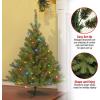 imageNational Tree Company PreLit Artificial Medium Christmas Tree Green Kincaid Spruce Multicolor Lights Includes Stand 6 Feet4ft