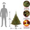 imageNational Tree Company PreLit Artificial Medium Christmas Tree Green Kincaid Spruce Multicolor Lights Includes Stand 6 Feet4ft