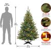 imageNational Tree Company PreLit Artificial Medium Christmas Tree Green Kincaid Spruce Multicolor Lights Includes Stand 6 Feet6ft