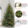 imageNational Tree Company PreLit Artificial Medium Christmas Tree Green Kincaid Spruce Multicolor Lights Includes Stand 6 Feet6ft