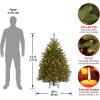 imageNational Tree Company PreLit Artificial Mini Christmas Tree Green Dunhill Fir White Lights Includes Stand 45 Feet