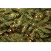 imageNational Tree Company PreLit Artificial Mini Christmas Tree Green Dunhill Fir White Lights Includes Stand 45 Feet