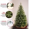 imageNational Tree Company PreLit Artificial Slim Christmas Tree Green Aspen Spruce White Lights Includes Stand 6 Feet4ft