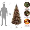 imageNational Tree Company PreLit Artificial Slim Christmas Tree Green Aspen Spruce White Lights Includes Stand 6 Feet6ft