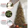 imageNational Tree Company PreLit Artificial Slim Christmas Tree Green Aspen Spruce White Lights Includes Stand 6 Feet6ft