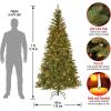 imageNational Tree Company PreLit Artificial Slim Christmas Tree Green Aspen Spruce White Lights Includes Stand 6 Feet7ft