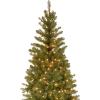 imageNational Tree Company PreLit Artificial Slim Christmas Tree Green Aspen Spruce White Lights Includes Stand 6 Feet7ft