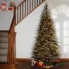 imageNational Tree Company PreLit Artificial Slim Christmas Tree Green Aspen Spruce White Lights Includes Stand 6 Feet7ft