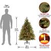 imageNational Tree Company PreLit Feel Real Artificial Full Downswept Christmas Tree Green Douglas Fir Multicolor Lights Includes Stand 45 feetWith 450 Multicolor Lights