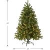 imageNational Tree Company PreLit Feel Real Artificial Slim Downswept Christmas Tree Green Douglas Fir Dual Color LED Lights Includes PowerConnect and Stand 7 feet4ft 6in