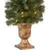 imageNational Tree Company Prelit Artificial Christmas Tree For Entrances  Includes Prestrung White Lights and Stand  Montclair Spruce  5 ft4ft