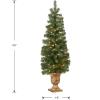 imageNational Tree Company Prelit Artificial Christmas Tree For Entrances  Includes Prestrung White Lights and Stand  Montclair Spruce  5 ft4ft