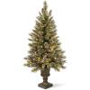 imageNational Tree 5 Foot Glittery Bristle Pine Entrance Tree with Glittered Branches White Tipped Cones and 150 Clear Lights in Decorative Urn GB330650