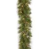 imageNational Tree Company PreLit Artificial Entrance Christmas Tree Atlanta Spruce Green White Lights Includes Metal Base 4 FeetGarland