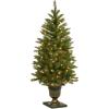 imageNational Tree Company PreLit Artificial Entrance Christmas Tree Green Dunhill Fir White Lights Includes Decorative Urn Base 4 Feet