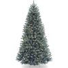 imageNational Tree Company PreLit Artificial Full Christmas Tree Blue North Valley Spruce White Lights Includes Stand 65 feet6ft 6in