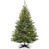 imageNational Tree Company PreLit Artificial Medium Christmas Tree Green Kincaid Spruce Multicolor Lights Includes Stand 6 Feet6ft