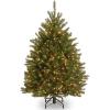 imageNational Tree Company PreLit Artificial Mini Christmas Tree Green Dunhill Fir White Lights Includes Stand 45 Feet