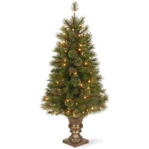 imageNational Tree Company PreLit Artificial Entrance Christmas Tree Atlanta Spruce Green White Lights Includes Metal Base 4 Feet4 Foot Entrance Tree with Clear Lights