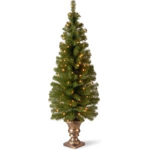 imageNational Tree Company Prelit Artificial Christmas Tree For Entrances  Includes Prestrung White Lights and Stand  Montclair Spruce  5 ft5ft