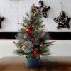 imageNational Tree Company Feel Real Artificial Christmas Decorative Pot  Flocked with Mixed Decorations and White LED Lights  Colonial  2 ft