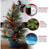 imageNational Tree Company Feel Real Artificial Christmas Decorative Pot  Flocked with Mixed Decorations and White LED Lights  Colonial  2 ft