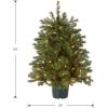 imageNational Tree Company Feel Real Artificial Christmas Tree For Entrances Includes White Lights and Stand  Hampton Spruce  3 ft