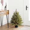 imageNational Tree Company Feel Real Artificial Christmas Tree For Entrances Includes White Lights and Stand  Hampton Spruce  3 ft