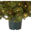 imageNational Tree Company Feel Real Artificial Christmas Tree For Entrances Includes White Lights and Stand  Hampton Spruce  3 ft