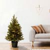 imageNational Tree Company Feel Real Prelit Artificial Christmas Tree For Entrances  Includes Prestrung White LED Lights and Pot Base  Jersey Frasier Fir  3 ft