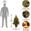 imageNational Tree Company Feel Real Prelit Artificial Christmas Tree For Entrances  Includes Prestrung White LED Lights and Pot Base  Jersey Frasier Fir  3 ft