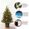 imageNational Tree Company Feel Real Prelit Artificial Christmas Tree For Entrances  Includes Prestrung White LED Lights and Pot Base  Jersey Frasier Fir  3 ft