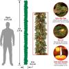 imageNational Tree Company PreLit Artificial Christmas Garland Green Carolina Pine White Lights Decorated with Pine Cones Battery Operated Christmas Collection 9 FeetBattery Operated