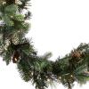 imageNational Tree Company PreLit Artificial Christmas Garland Green Carolina Pine White Lights Decorated with Pine Cones Battery Operated Christmas Collection 9 FeetBattery Operated