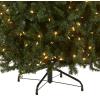 imageNational Tree Company PreLit Artificial Full Christmas Tree North Valley Spruce Dual Color LED Lights Includes Stand 75 Feet Green