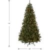 imageNational Tree Company PreLit Artificial Full Christmas Tree North Valley Spruce Dual Color LED Lights Includes Stand 75 Feet Green